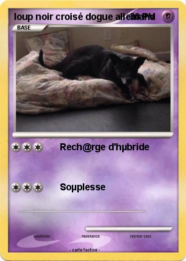 Pokemon loup noir croisé dogue allemand