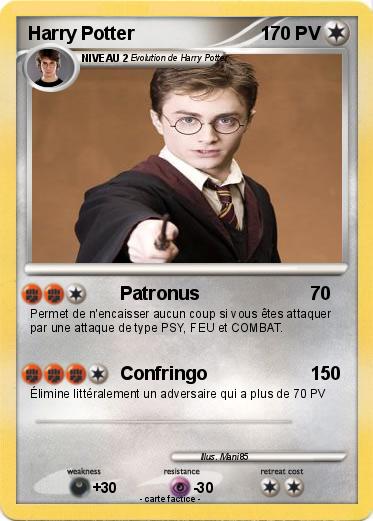 Pokemon Harry Potter