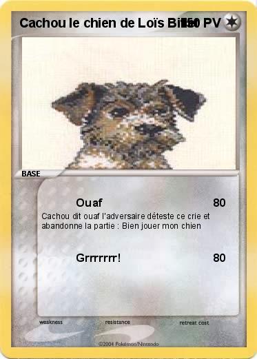 Pokemon Cachou le chien de Loïs Billet