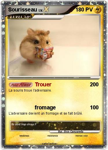 Pokemon Sourisseau