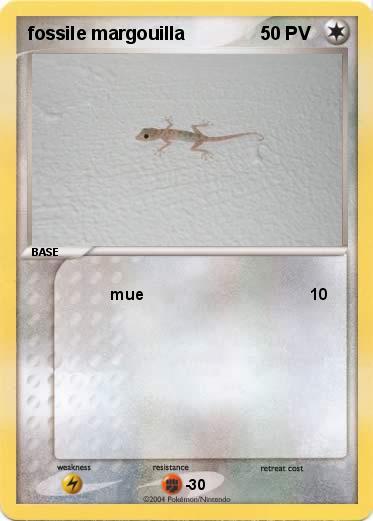 Pokemon fossile margouilla