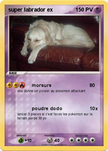 Pokemon super labrador ex