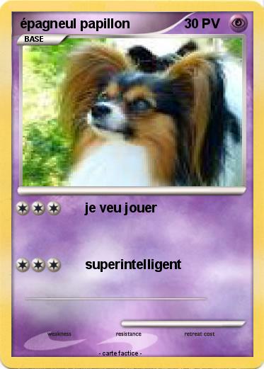 Pokemon épagneul papillon
