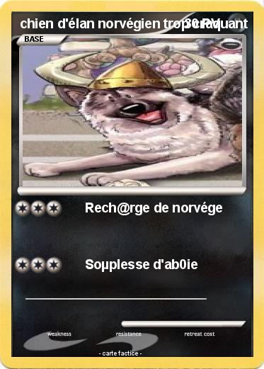 Pokemon chien d'élan norvégien trop craquant