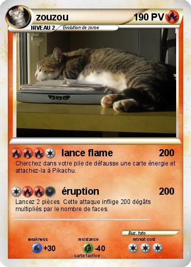 Pokemon zouzou