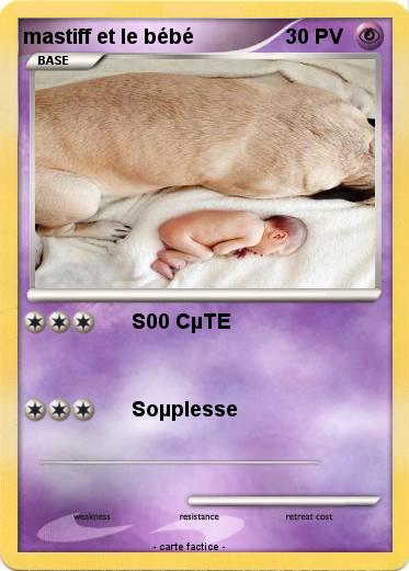 Pokemon mastiff et le bébé