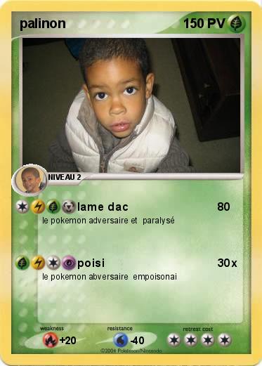 Pokemon palinon