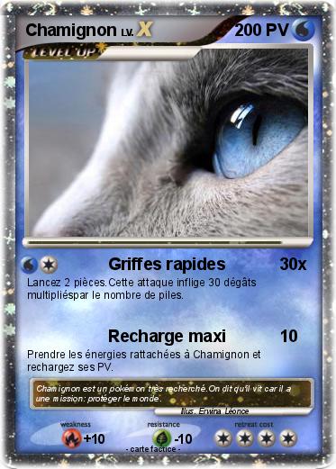 Pokemon Chamignon