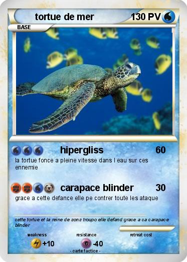 Pokemon tortue de mer