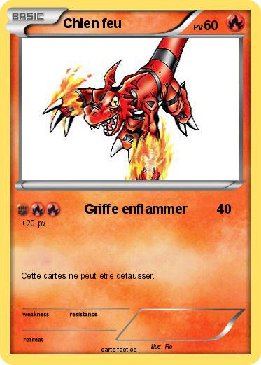 Pokemon Chien feu