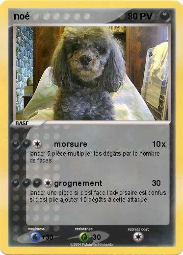 Pokemon noé
