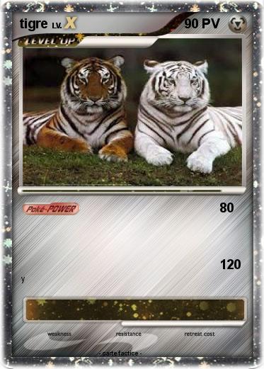 Pokemon tigre