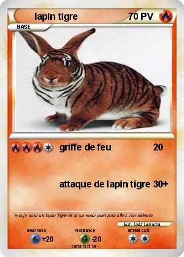 Pokemon lapin tigre