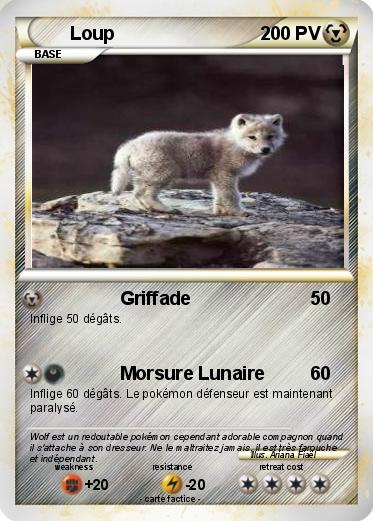Pokemon Loup