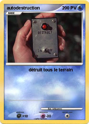 Pokemon autodestruction