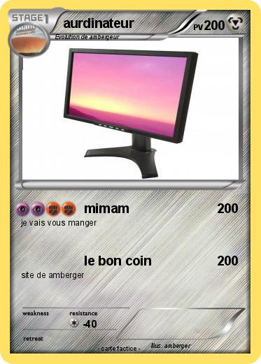 Pokemon aurdinateur