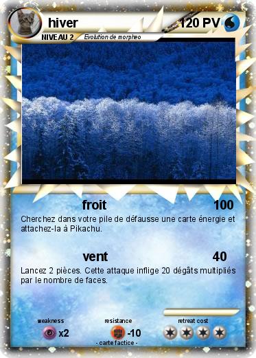 Pokemon hiver