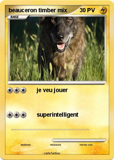 Pokemon beauceron timber mix