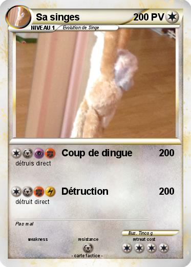Pokemon Sa singes