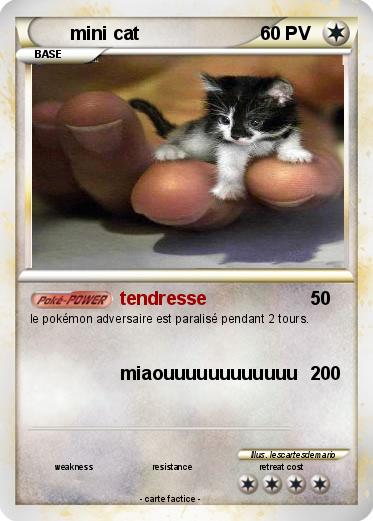 Pokemon mini cat