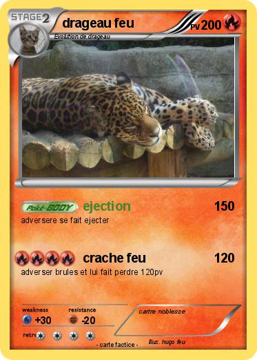 Pokemon drageau feu