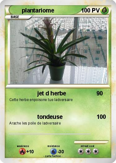 Pokemon plantariome