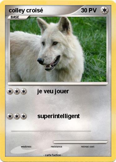 Pokemon colley croisé