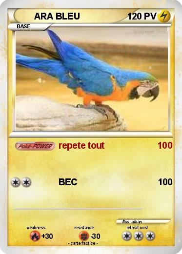 Pokemon ARA BLEU
