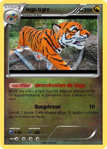 Pokemon lego tigre