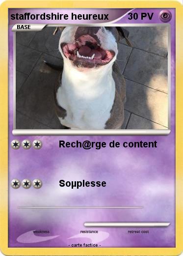 Pokemon staffordshire heureux