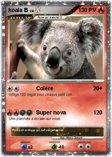 Pokemon koala B