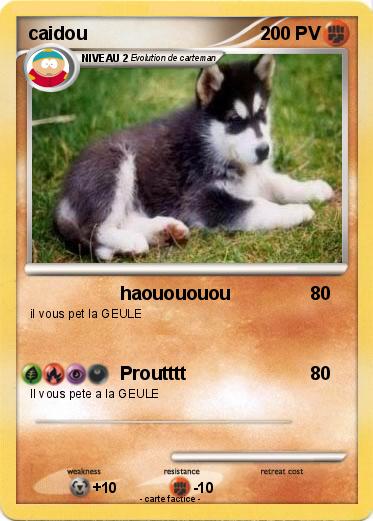 Pokemon caidou