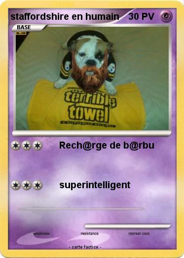Pokemon staffordshire en humain