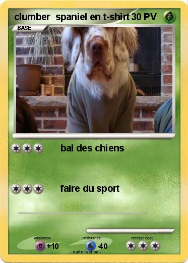 Pokemon clumber  spaniel en t-shirt