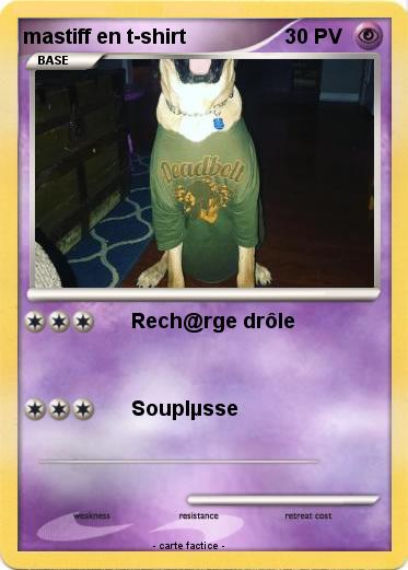 Pokemon mastiff en t-shirt
