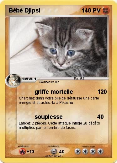 Pokemon Bébé Djipsi