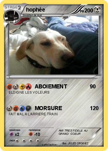Pokemon hophée