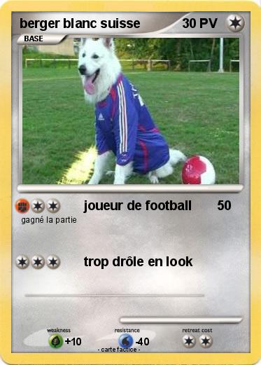 Pokemon berger blanc suisse