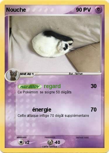 Pokemon Nouche