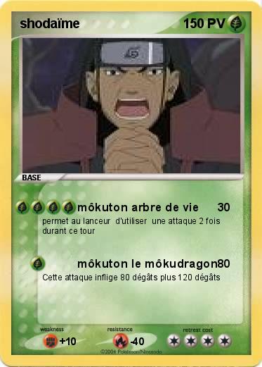 Pokemon shodaïme