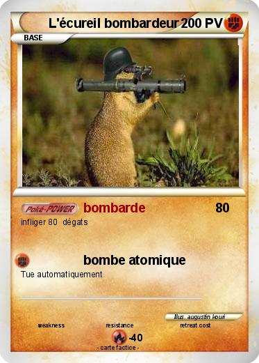 Pokemon L'écureil bombardeur