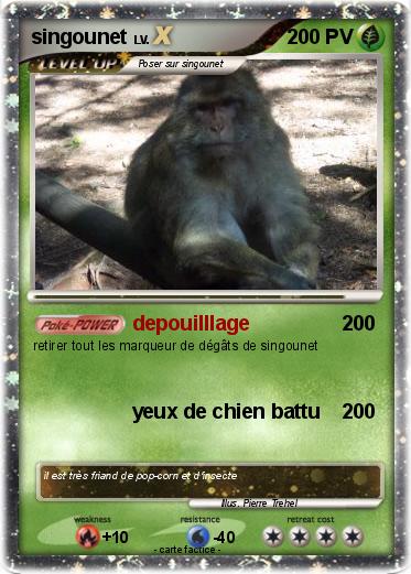 Pokemon singounet