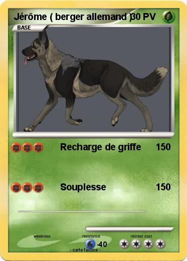 Pokemon Jérôme ( berger allemand )