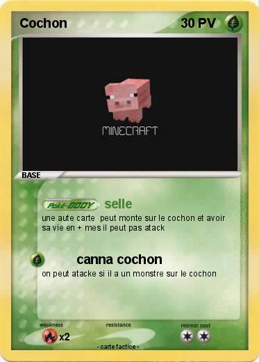 Pokemon Cochon