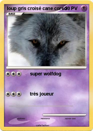 Pokemon loup gris croisé cane corso