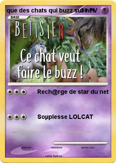 Pokemon que des chats qui buzz sur net