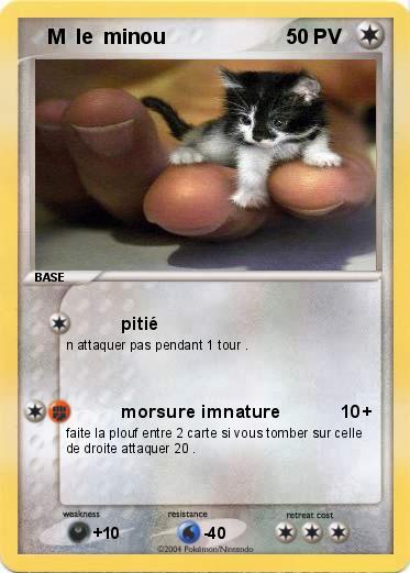 Pokemon    M  le  minou