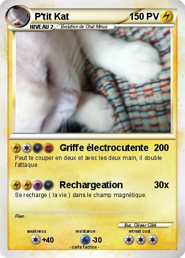 Pokemon P'tit Kat