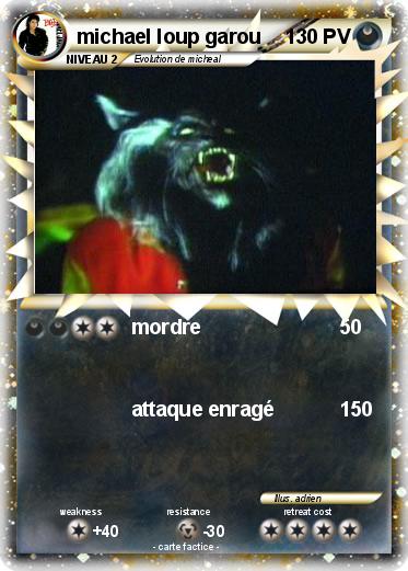 Pokemon michael loup garou
