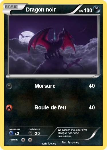 Pokemon Dragon noir